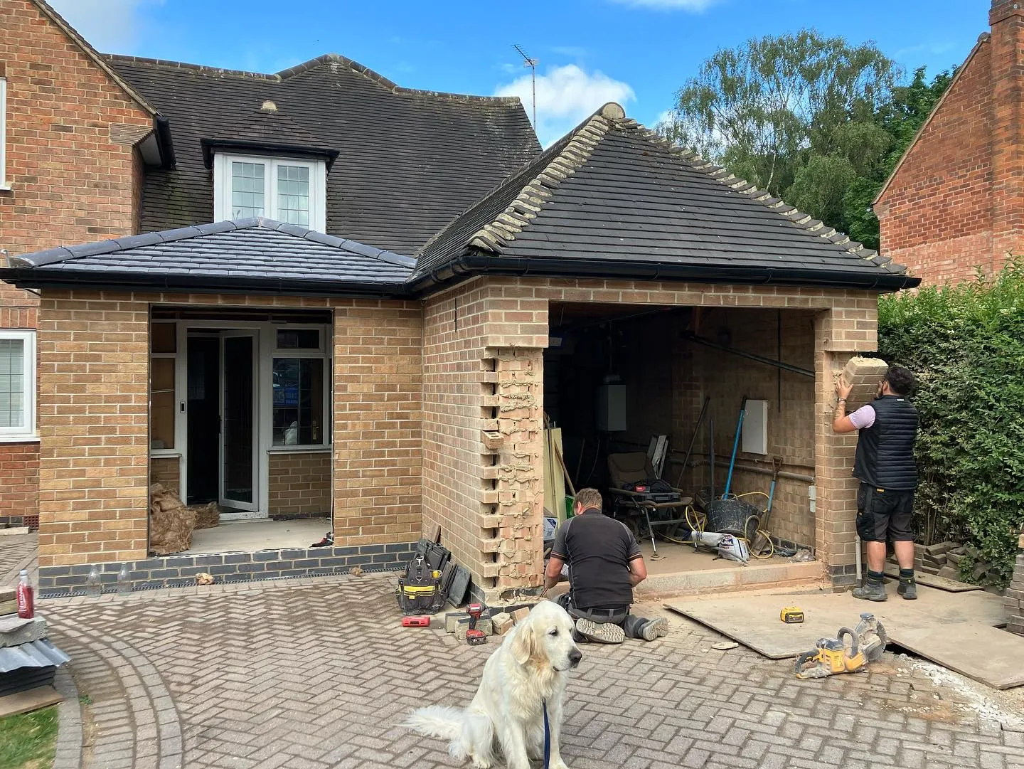a man standing next to a dog in a driveway